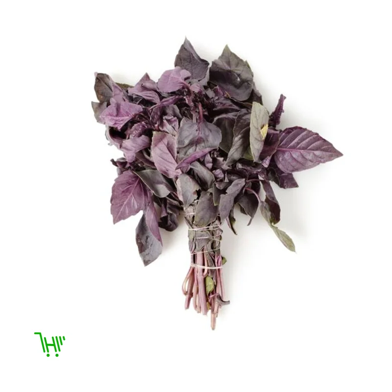 Базилика Красный Райхан 100гр