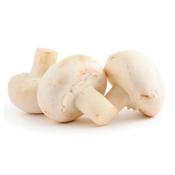 Грибы шампиньоны