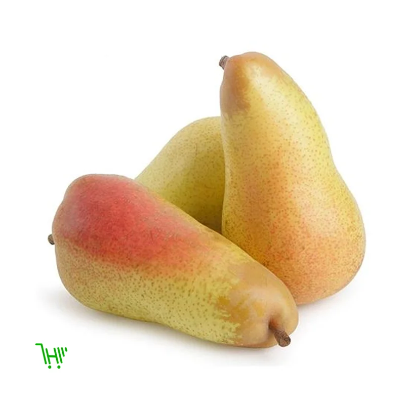 Груша аббат