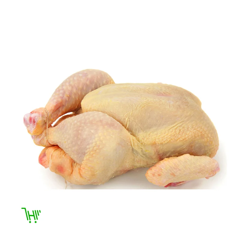 Курица домашняя HALAL