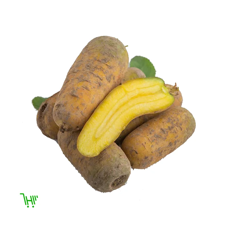 Морковь Желтая